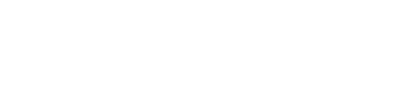 Influencer Management