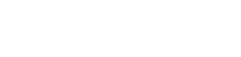 Influencer Management